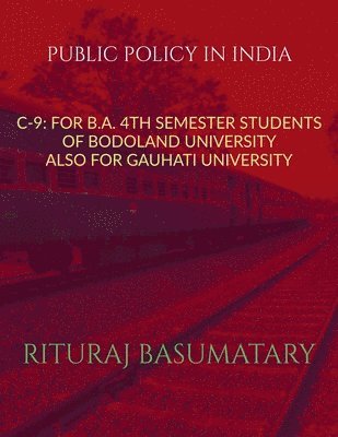 bokomslag Public Policy in India