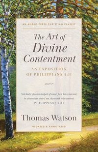 bokomslag The Art of Divine Contentment