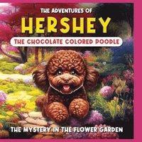 bokomslag Adventures of Hershey