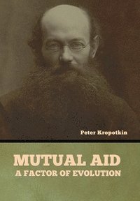 bokomslag Mutual Aid