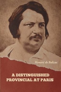 bokomslag Distinguished Provincial at Paris