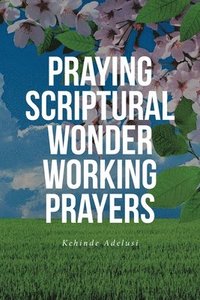 bokomslag Praying Scriptural Wonder Working Prayers