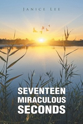 Seventeen Miraculous Seconds 1