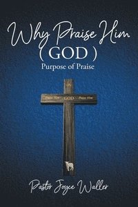bokomslag Why Praise Him(God)