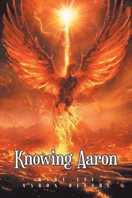 Knowing Aaron 1