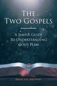 bokomslag The Two Gospels