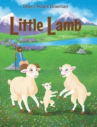 bokomslag Little Lamb