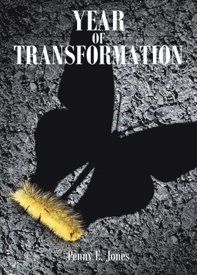 bokomslag Year of Transformation