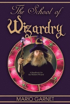 bokomslag School of Wizardry