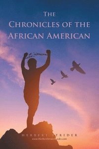 bokomslag Chronicles of the African American