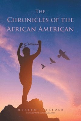 bokomslag Chronicles of the African American