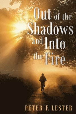 Out of the Shadows and into the Fire 1