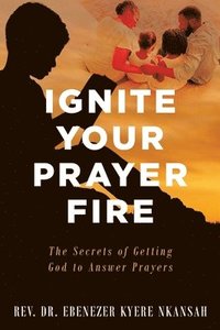 bokomslag Ignite Your Prayer Fire