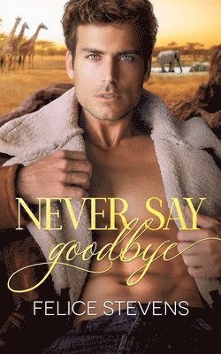 Never Say Goodbye 1