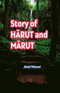 bokomslag Story of H&#256;RUT and M&#256;RUT