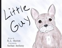 bokomslag Little Guy