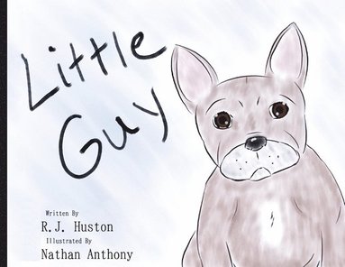 Rj Huston - Little Guy, Häftad