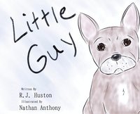 bokomslag Little Guy