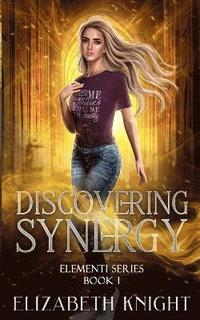 bokomslag Discovering Synergy