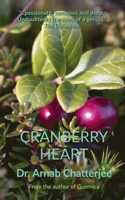 bokomslag Cranberry Heart