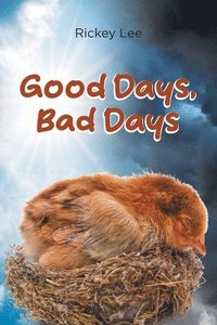 bokomslag Good Days, Bad Days