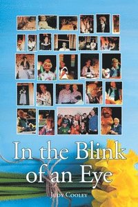 bokomslag In the Blink of an Eye