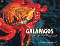 bokomslag Galápagos: Where the Wild Things Are