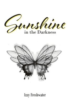 Sunshine In The Darkness 1