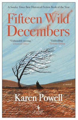 bokomslag Fifteen Wild Decembers