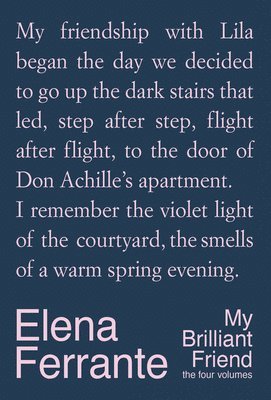 My Brilliant Friend Deluxe Edition: The Four Volumes 1