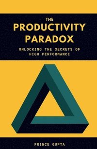 bokomslag Productivity Paradox