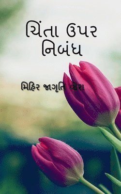 Mihir Jagruti, Jagruti,Mihir - Essay on Anxiety / ચિંતા ઉપર નિબંધ, Häftad
