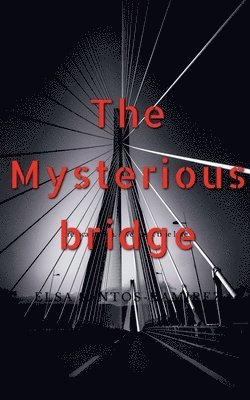 bokomslag Mysterious Bridge