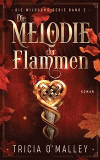 bokomslag Melodie der Flammen