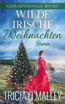 bokomslag Wilde irische Weihnachten