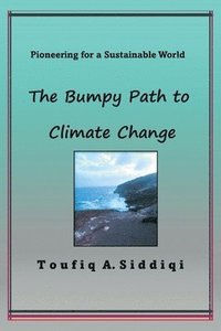 bokomslag Bumpy Path to Climate Change