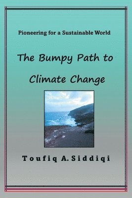 bokomslag Bumpy Path to Climate Change