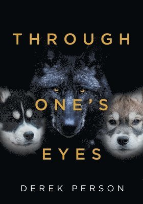 Through One's Eyes 1