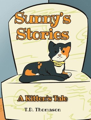 bokomslag Sunny's Stories