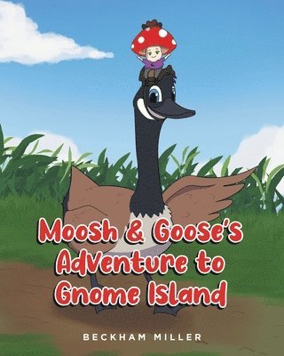 bokomslag Moosh and Goose's Adventure To Gnome Island