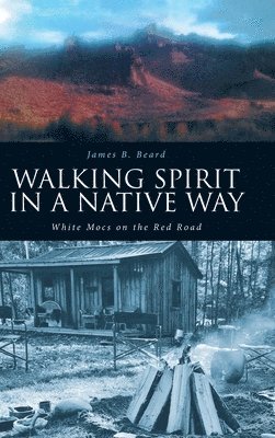 Walking Spirit in a Native Way 1