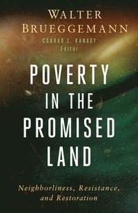 bokomslag Poverty in the Promised Land: Neighborliness, Resistance, and Restoration