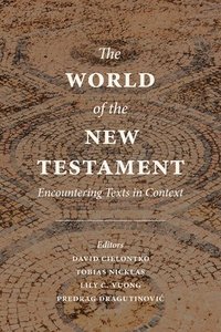 bokomslag World of the New Testament
