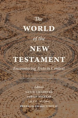 bokomslag World of the New Testament
