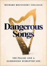 bokomslag Dangerous Songs
