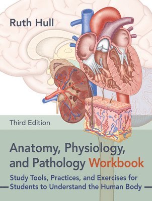 bokomslag Anatomy, Physiology, and Pathology Workbook, Third Edition: Study Tools, Practices, and Exercises for Students to Understand the Human Body