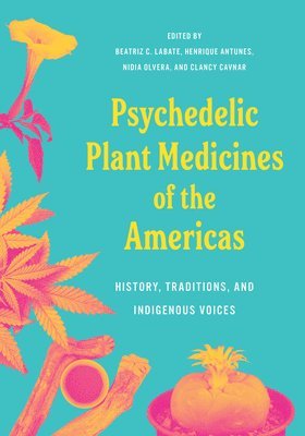 Biatriz Caiuby Labate, Henrique Fernandes Antunes, Nidia Olvera Hernández, Clancy Canvar - Psychedelic Plant Medicines of the Americas: History, Traditions, and Indigenous Voices, Häftad