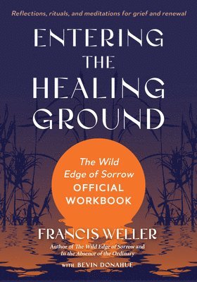 bokomslag Entering the Healing Ground