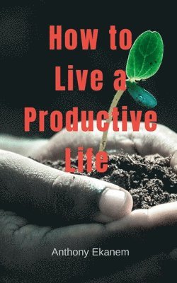 bokomslag How to Live a Productive Life