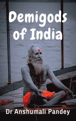 bokomslag Demigods of India